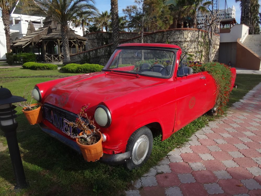 Photo #8308776