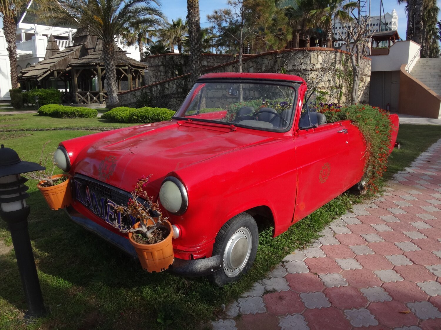 Photo #8308776