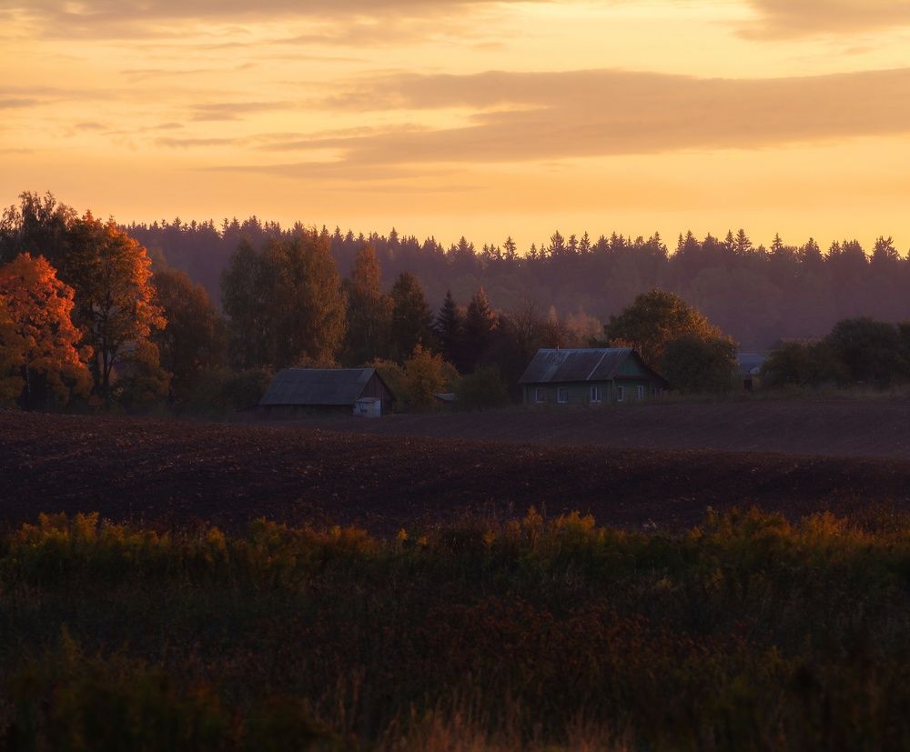 Фотография автора Андрей Врубель