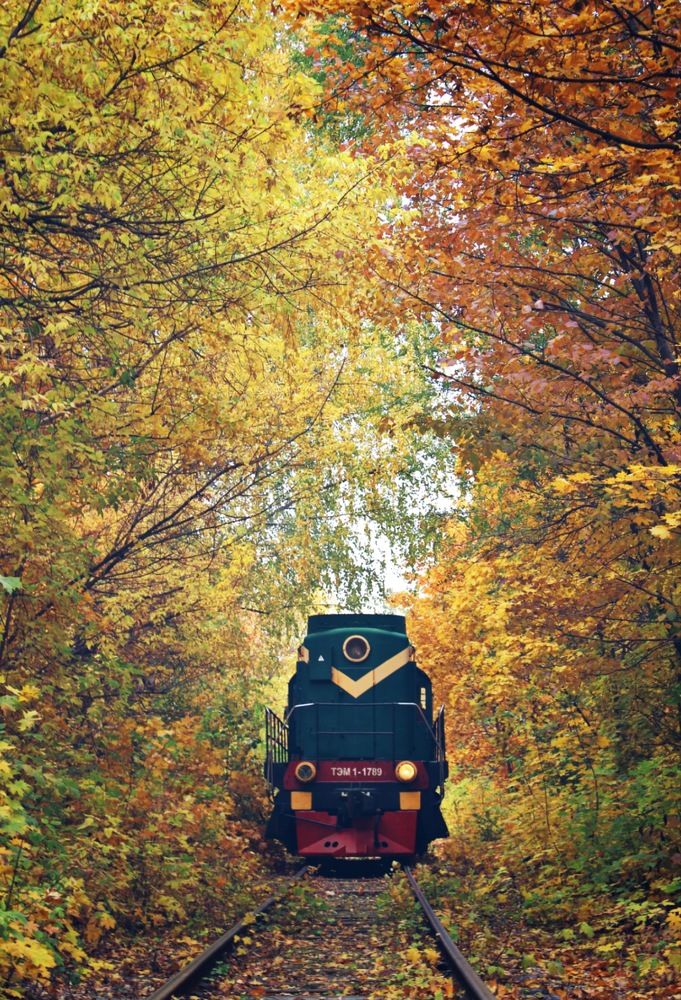 Photograph by Кристина Кублашвили