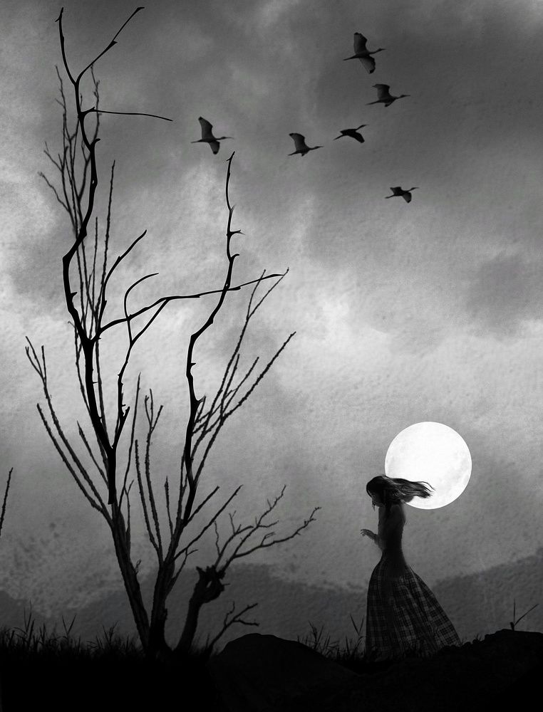 Фотография автора Інна Пюро