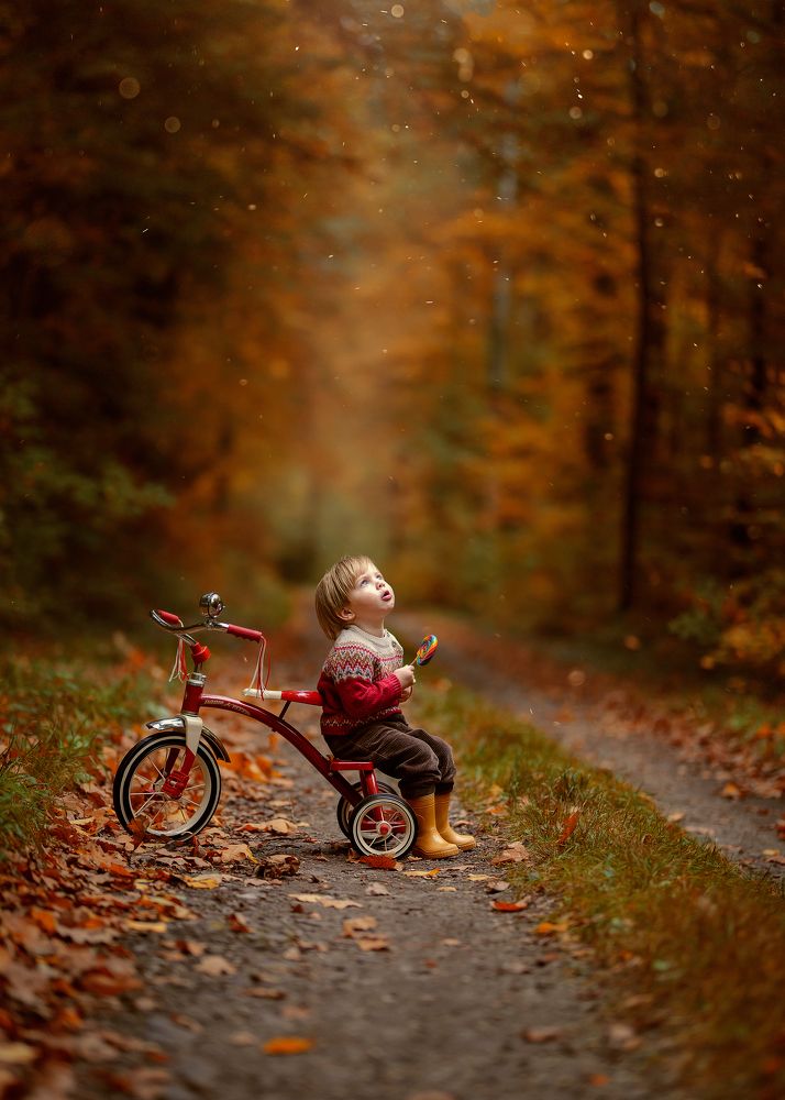 Фотография автора Kamila Culwell