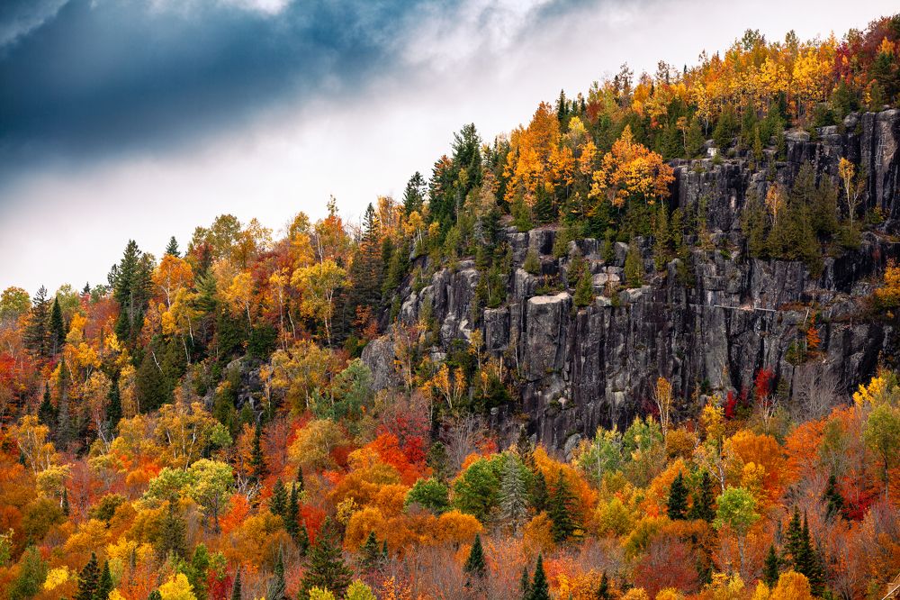 Photograph by Jack Bespalove