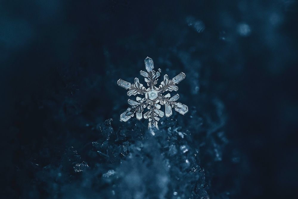 Фотография автора Helena Ivanova