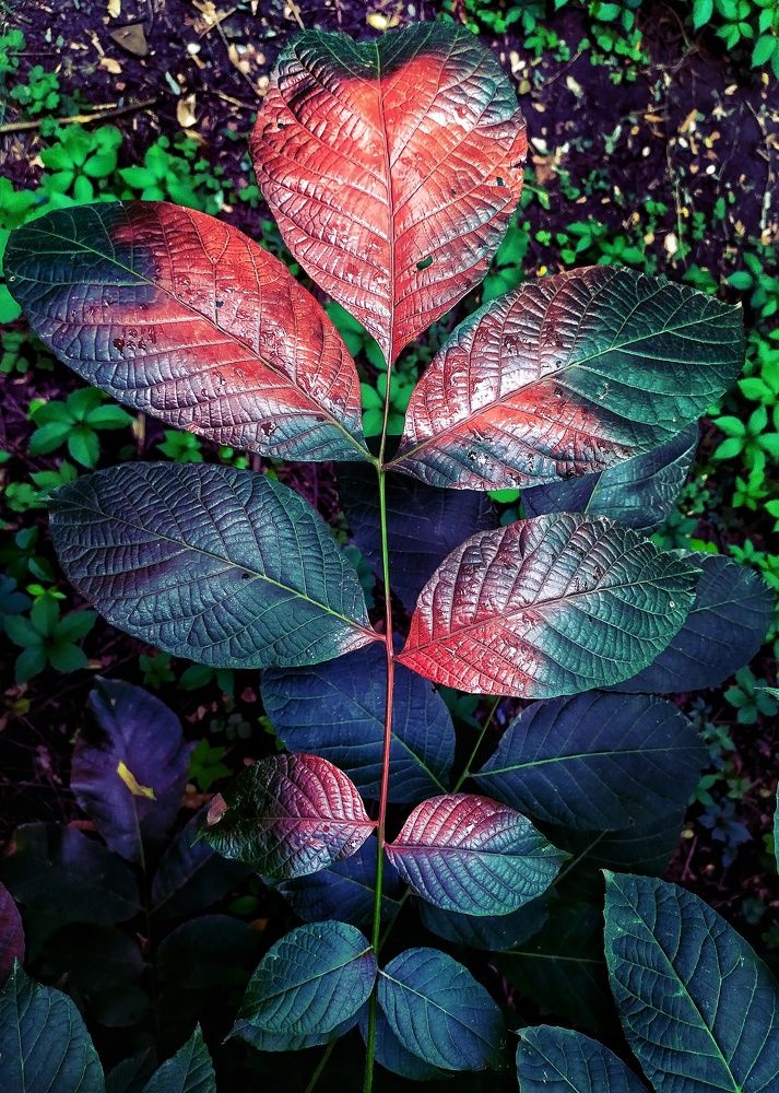 Photograph by Ксения