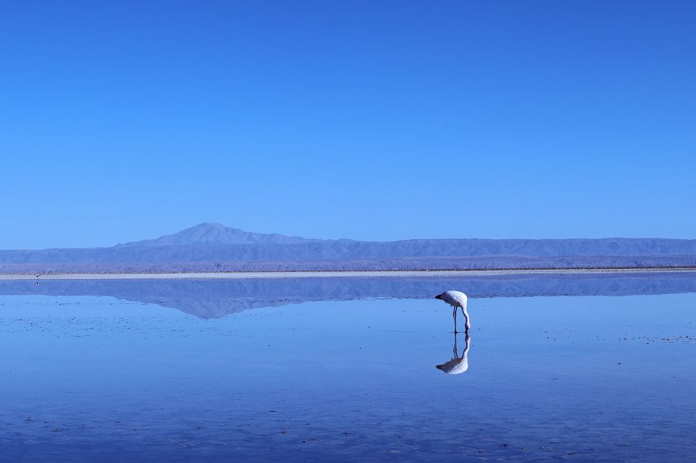 Фотография автора Cláudia Maria Fialho Garcia