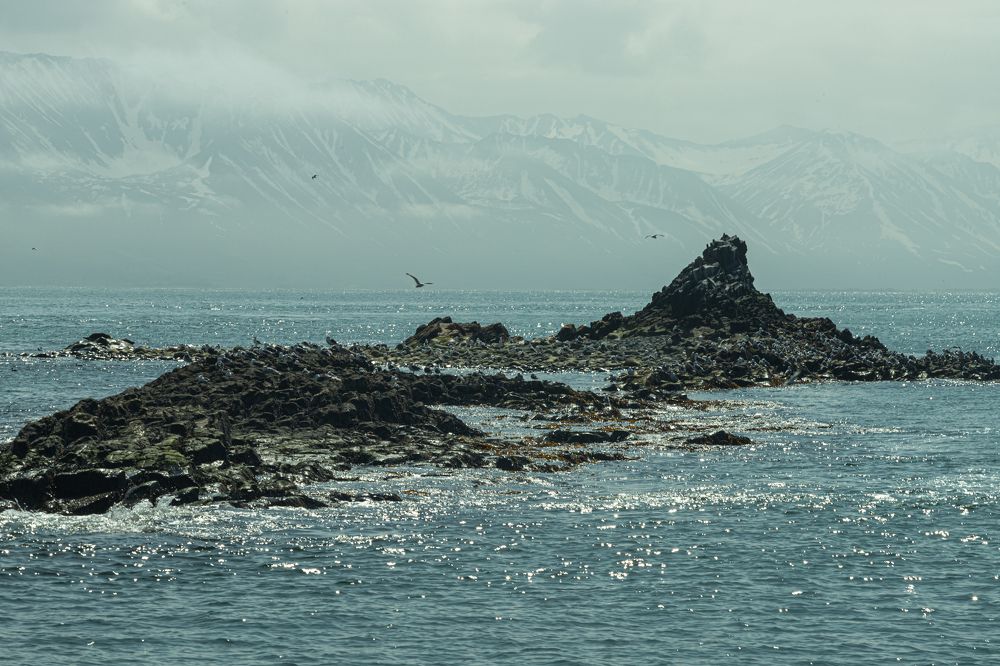 Photograph by Екатерина Долгова