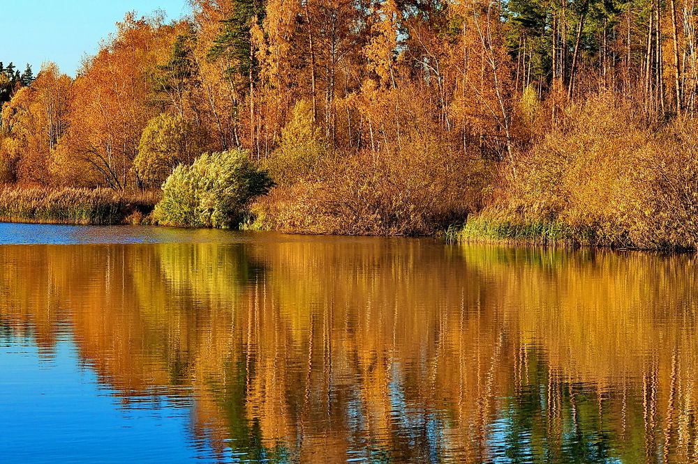 Photograph by VictОr