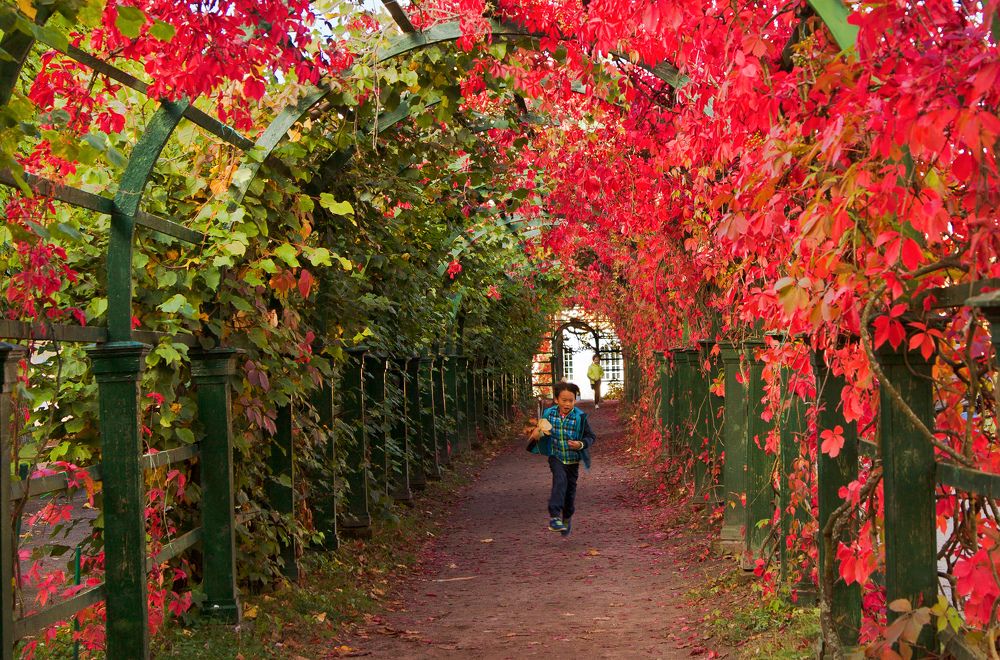 Фотография автора Ольга Виноградова