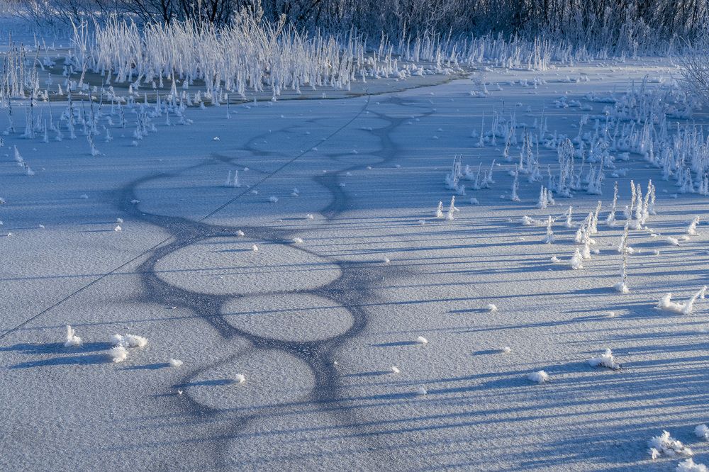 Фотография автора Галина Луценко
