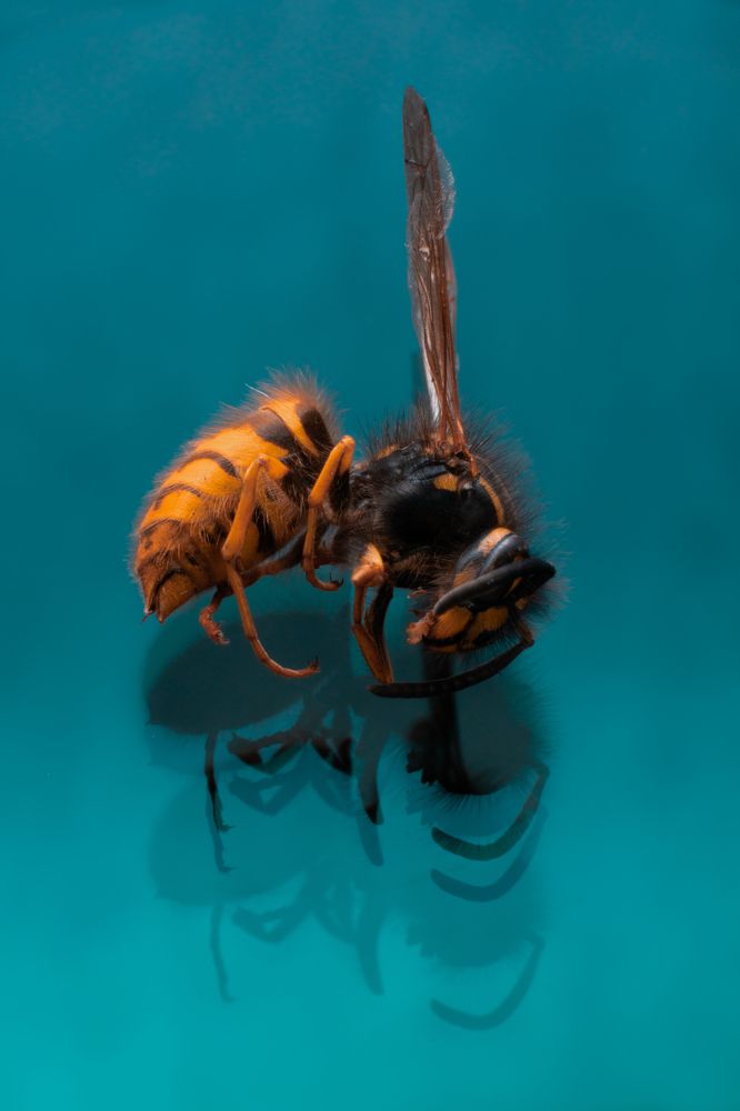 Photograph by Азиз