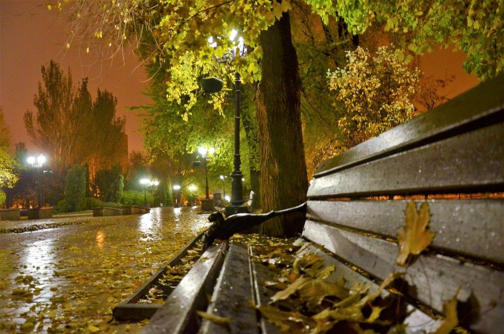 Photograph by Афанасьев Владимир