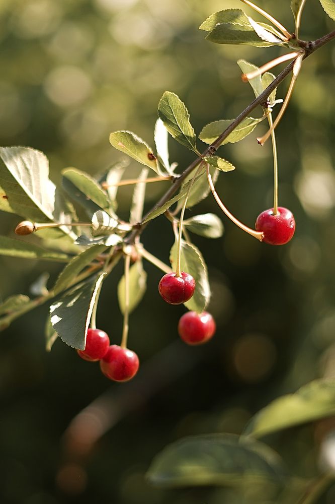 Photograph by Наталья Баранова