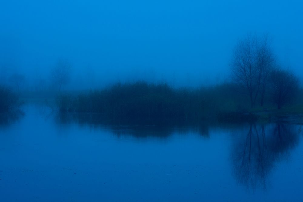 Photograph by Инна Гилярова