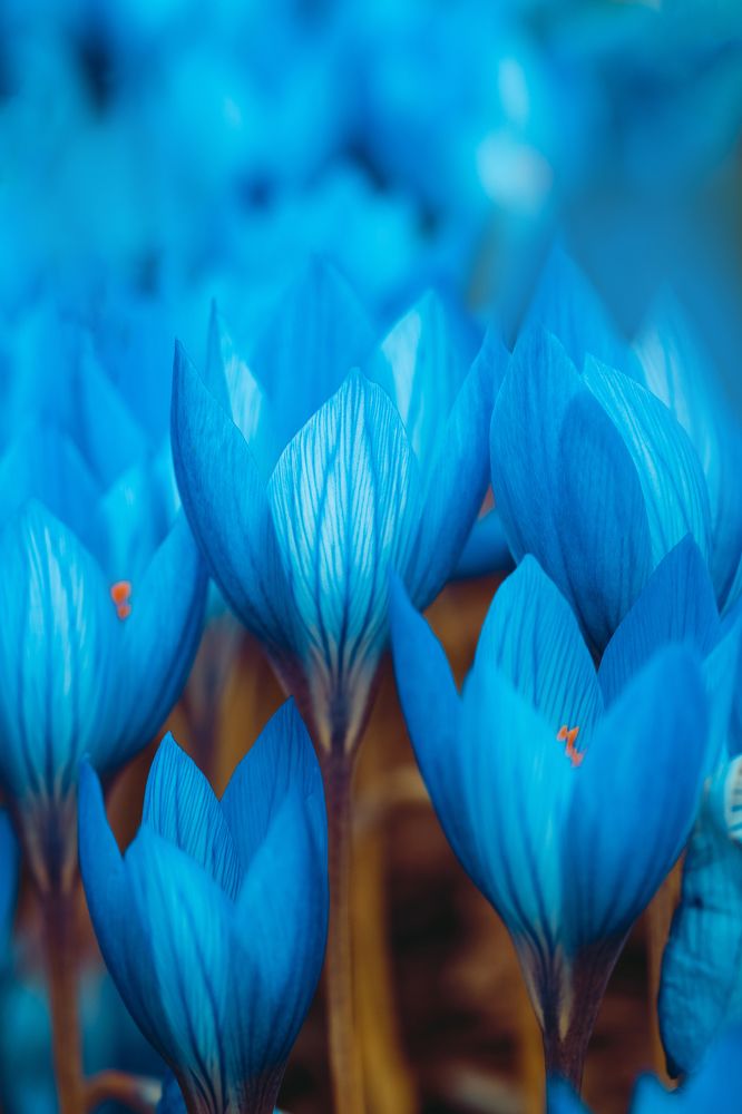 Photograph by Инна Гилярова