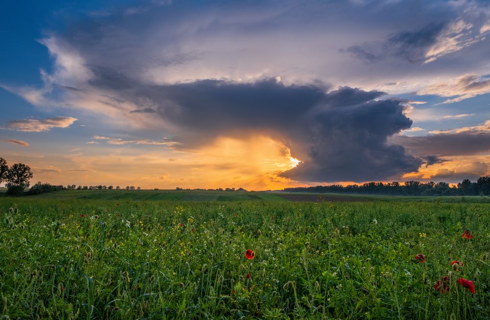 Photograph by Вовк Сергей