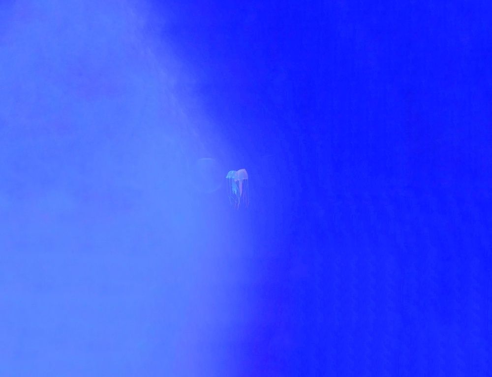 Photograph by Ольга Антонова