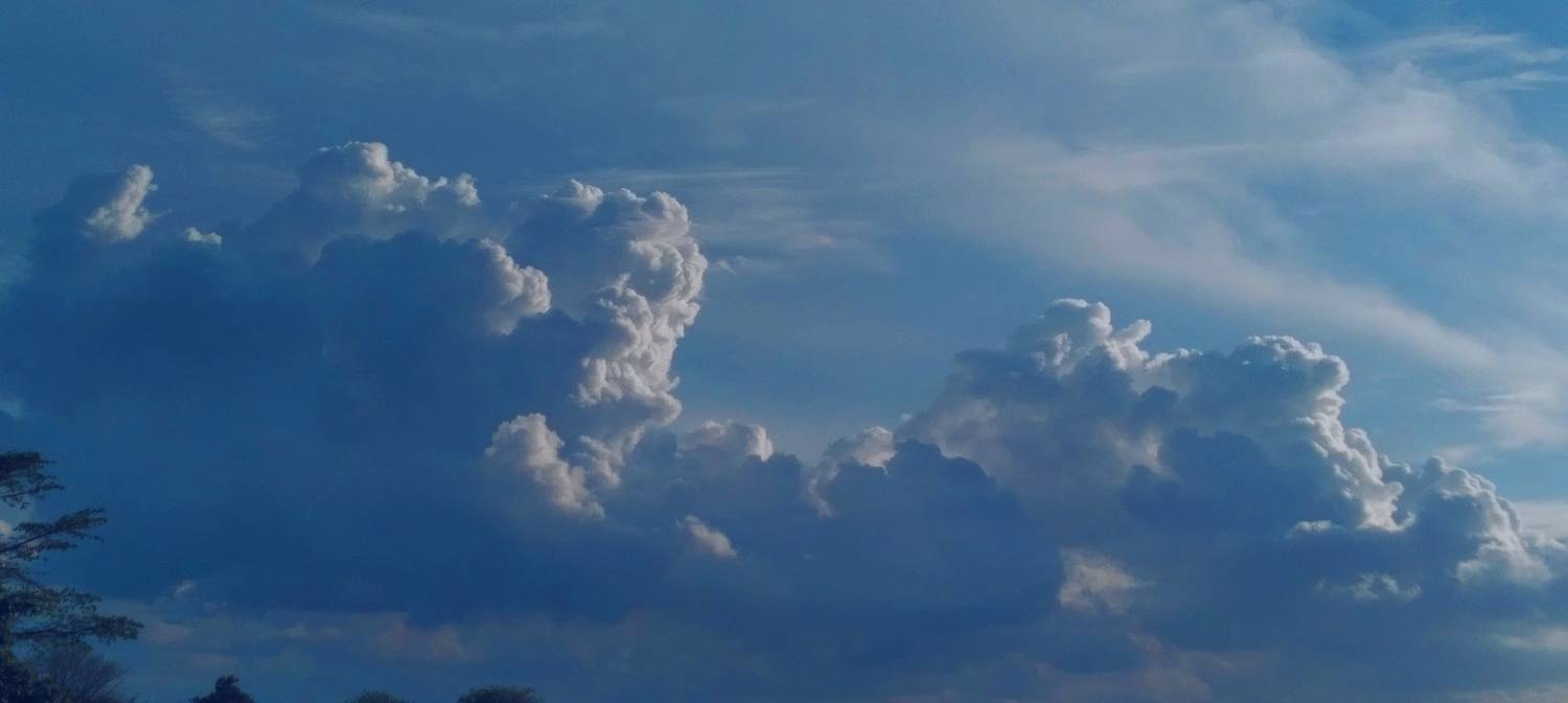 Photo #8309075