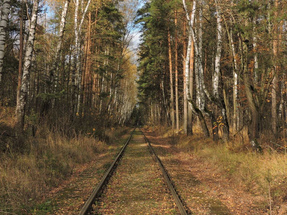 Photograph by Иван Венецкий