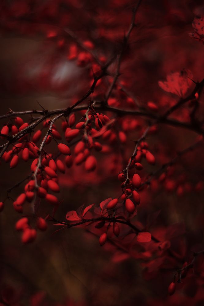 Photograph by Наталья Золотарева