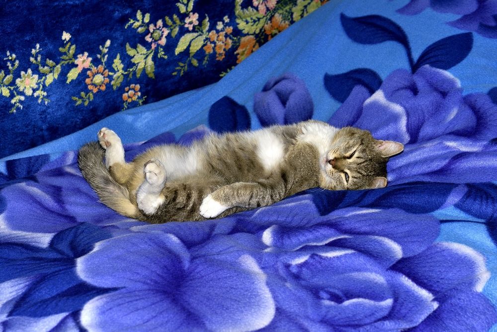 Photograph by Юрий Тимофеев