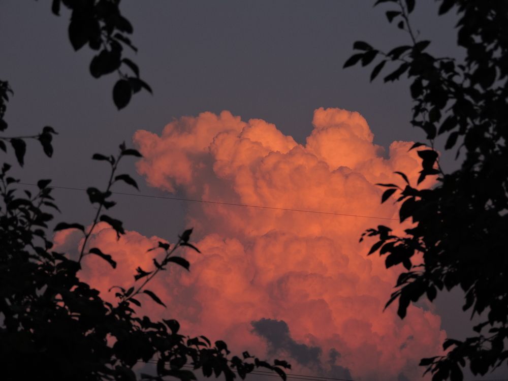 Photograph by Иван Венецкий