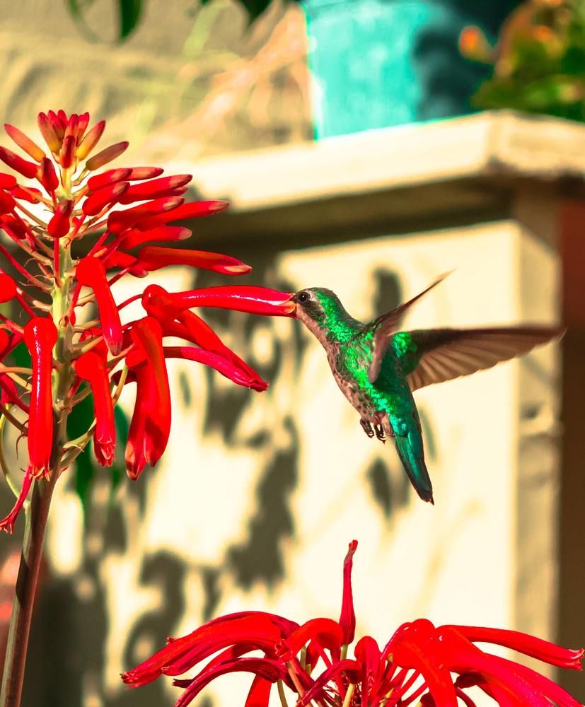 Фотография автора Gabriel Blanda