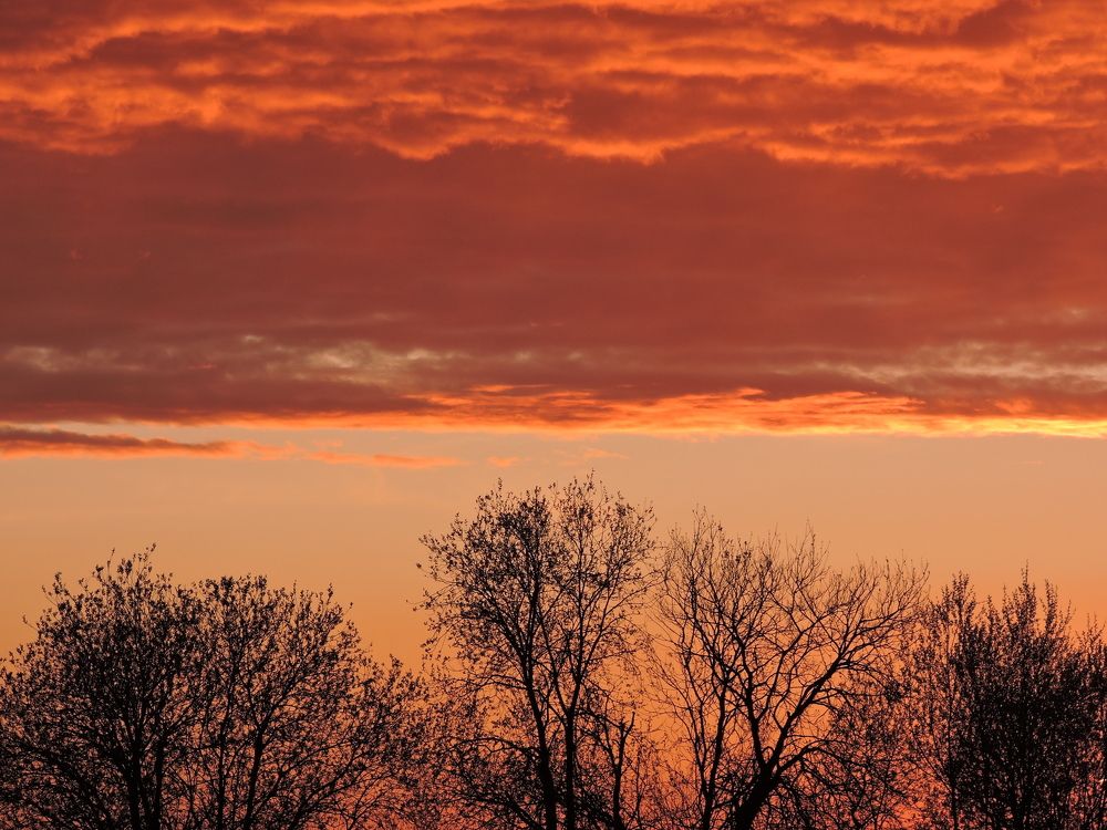 Photograph by Иван Венецкий