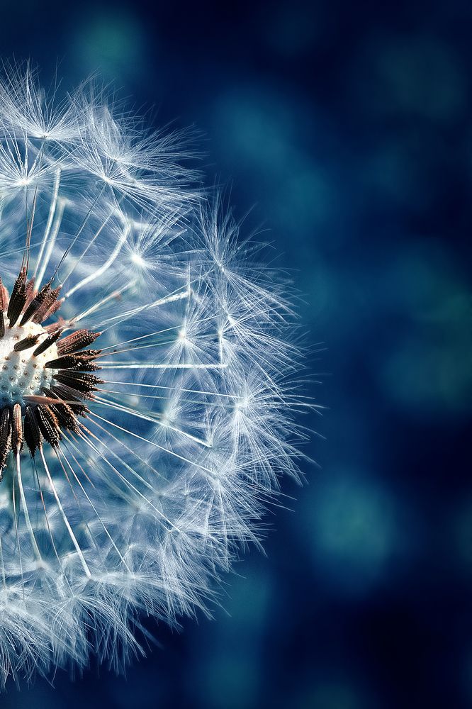 Photograph by Наталья Золотарева