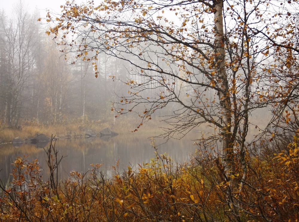 Photograph by Вячеслав Ригачин