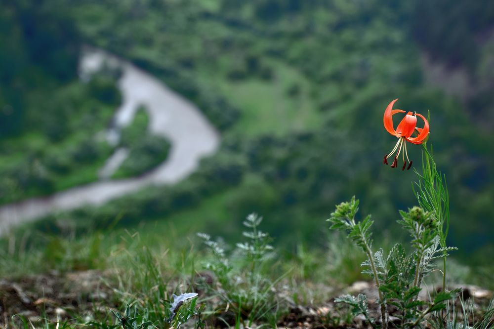 Photograph by Светлана Крат