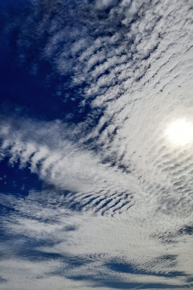 Фотография автора Тамара Караваева