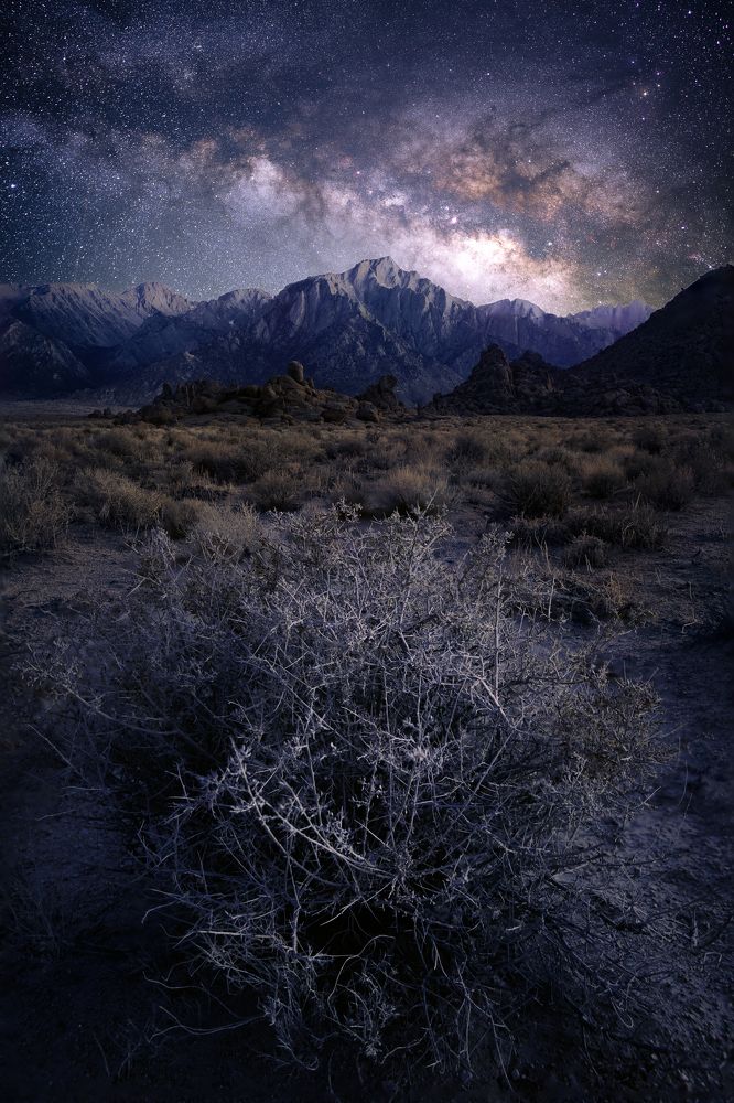 Фотография автора Robert Welsted