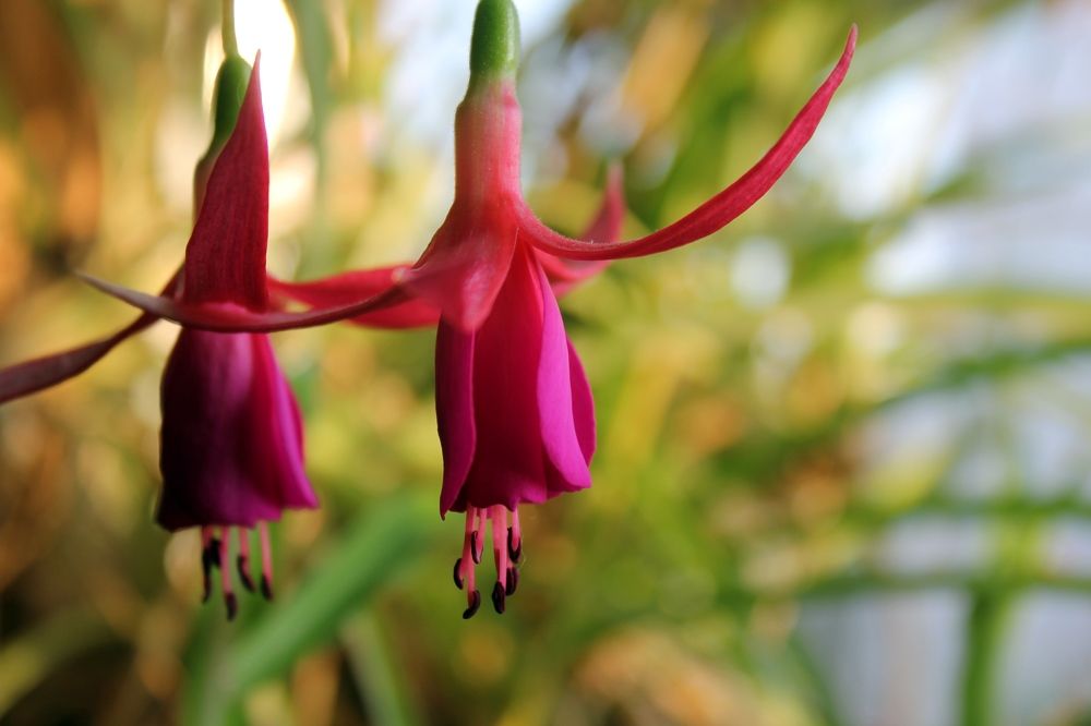 Photograph by Olga Bagaeva