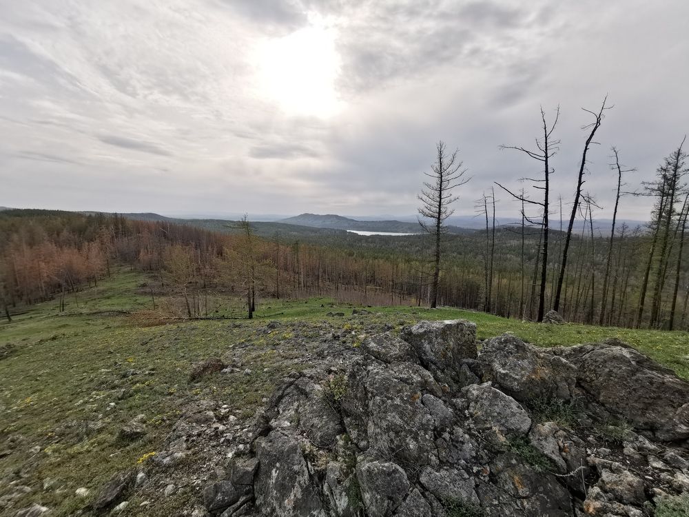 Photograph by ILSHAT NASYROV