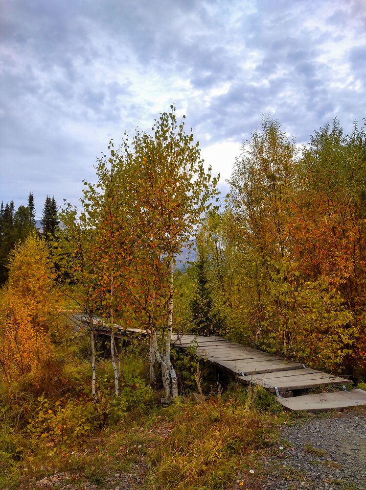 Милый сердцу уголок...