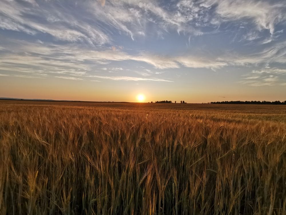 Photograph by ILSHAT NASYROV