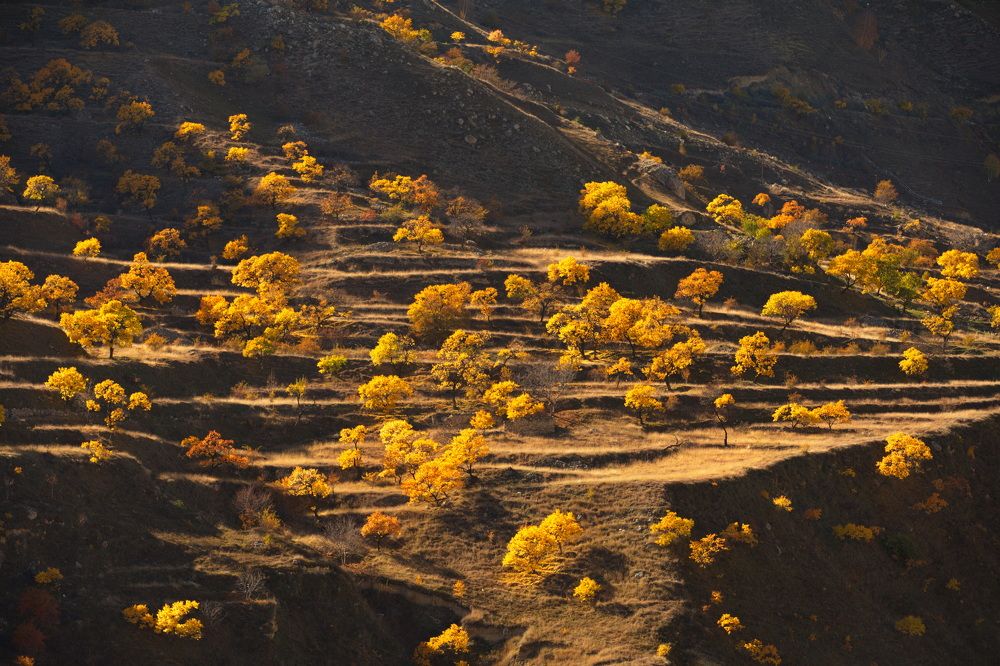 Photograph by Игорь