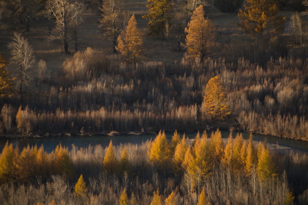 Photograph by Игорь