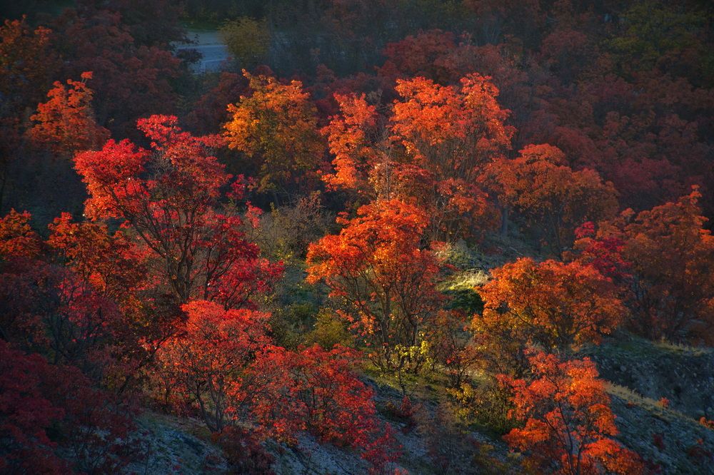 Photograph by Игорь