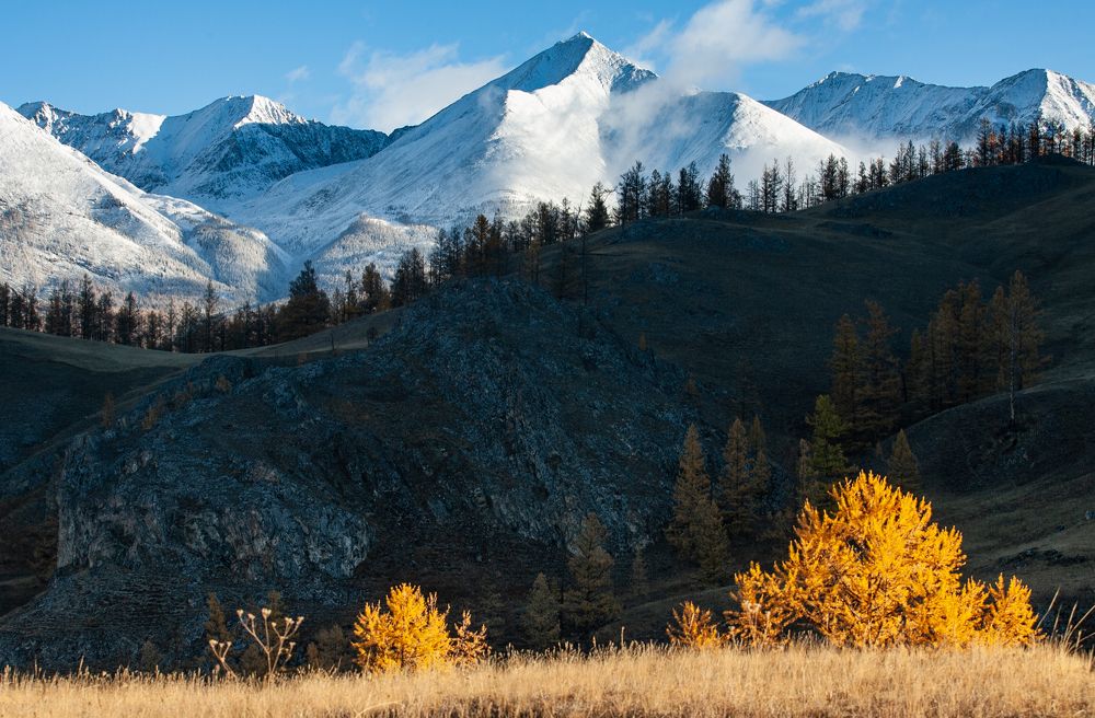 Photograph by Трофимов Алексей