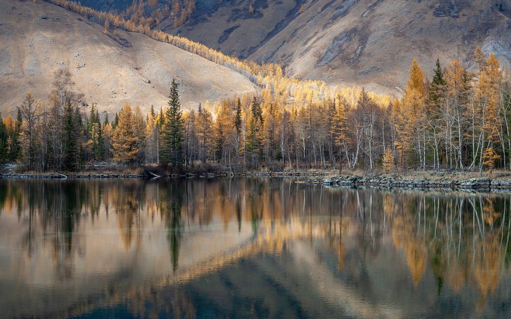 Photograph by Трофимов Алексей