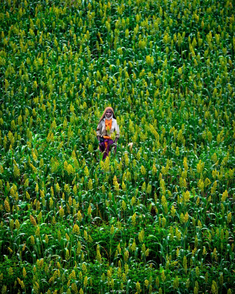 Photograph by Abhijeet Sawant