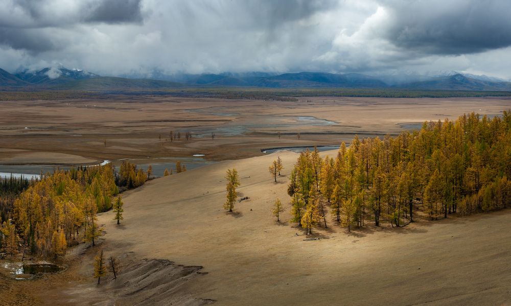 Photograph by Трофимов Алексей