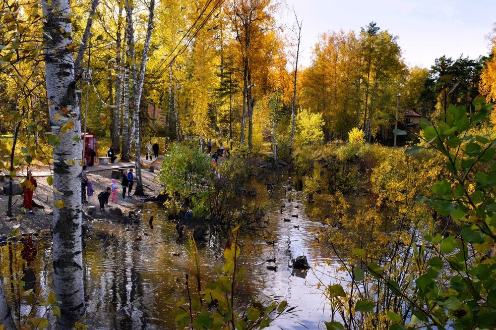 Photograph by Борис Большаков