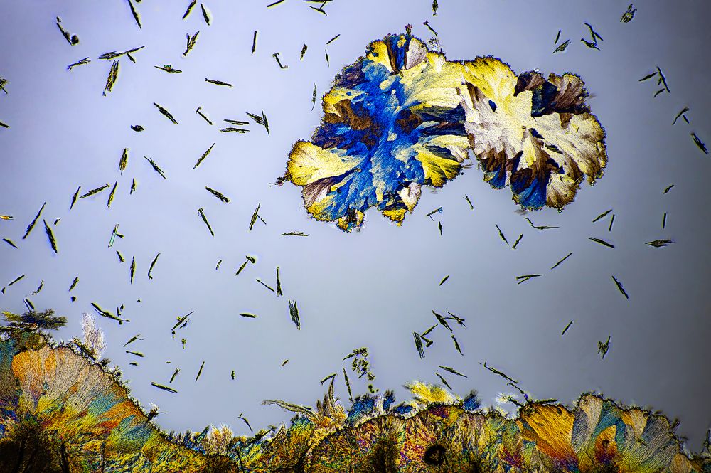 Photograph by Janek Lass