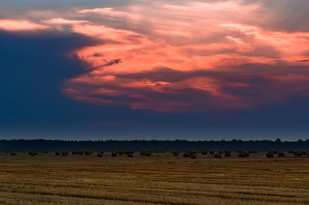 Photograph by Оксана Пучкова