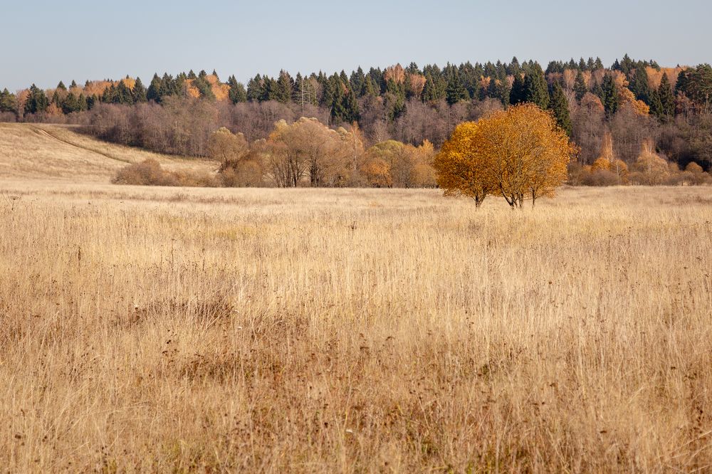 Photograph by Оксана Пучкова
