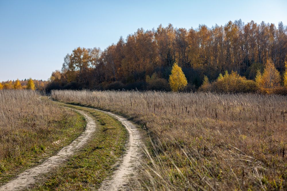 Photograph by Оксана Пучкова