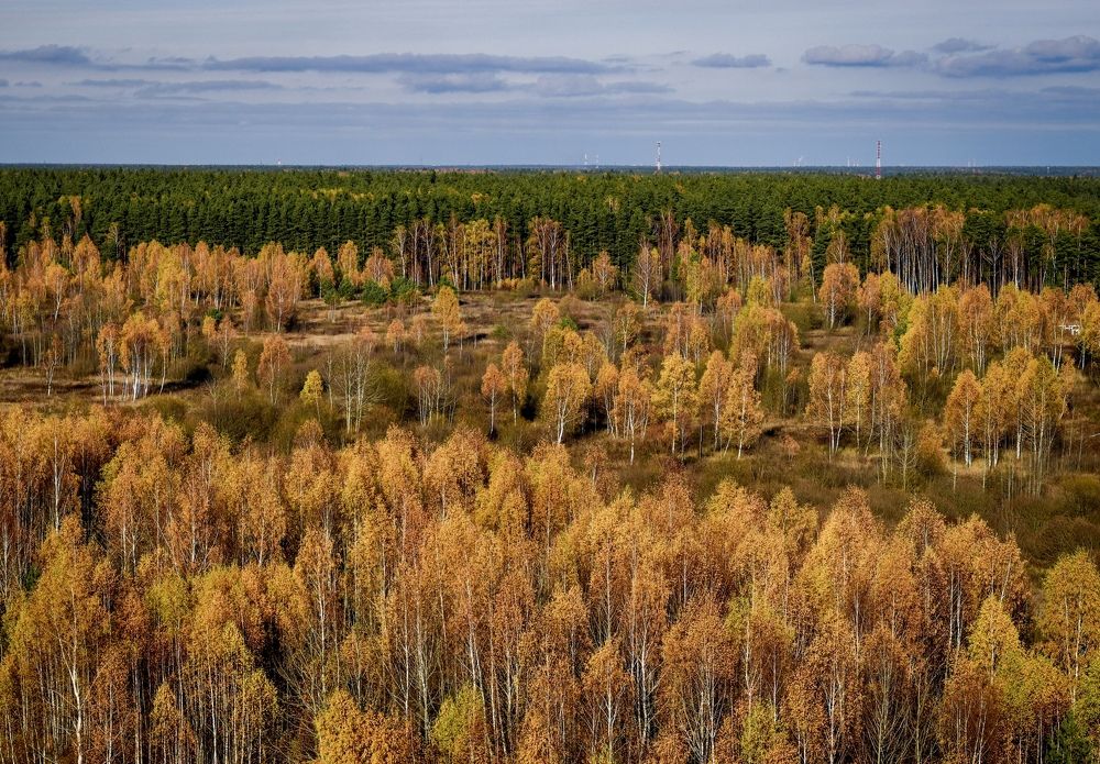 Photograph by Ольга Семина